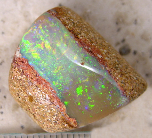 Opal-Fossile