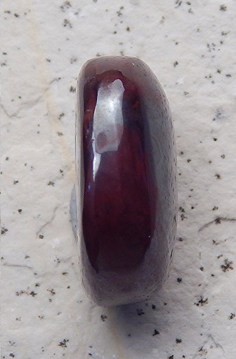Koroit-Nut - Video