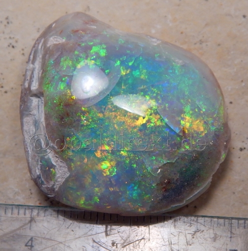Opalisierte-Opal-Muschel - Video
