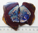 Pärchen Koroit-Nut - Video