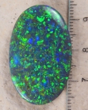 Gem Harlequin Schwarzopal - Video