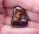Koroit-Nut-Opal - Video