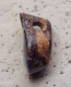 Boulder Opal am Band - Video