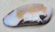 Boulder Opal am Band - Video