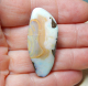 Boulder Opal am Band - Video