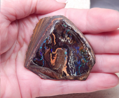 Koroit-Nut-Opal - Video