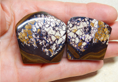 Pärchen Koroit-Nut - Video