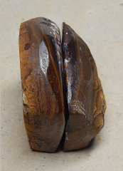 Pärchen Koroit-Nut - Video