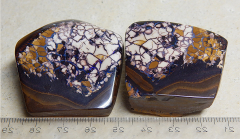 Pärchen Koroit-Nut - Video