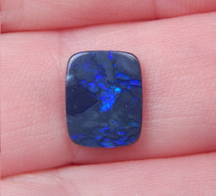 Blackopal / Schwarzopal - Video
