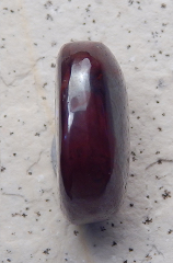 Koroit-Nut - Video