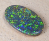 Gem Harlequin Schwarzopal - Video