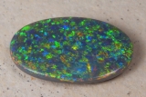 Gem Harlequin Schwarzopal - Video